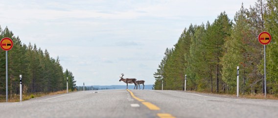 20120821_A-Taivalkos_ (1389).jpg