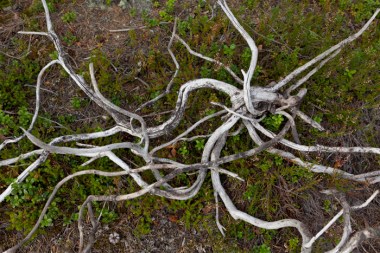 20120821_B-Kylmaluom_ (1469).jpg