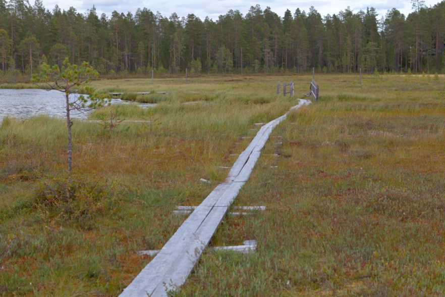 20120821_B-Kylmaluom_ (1472).jpg