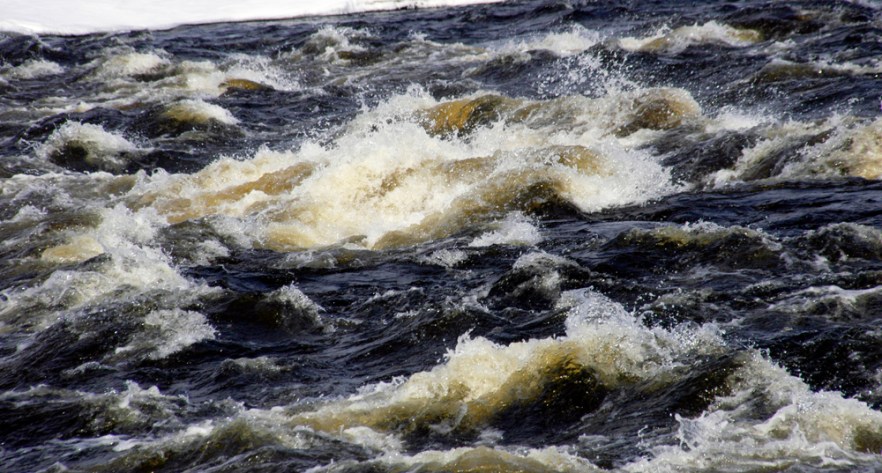 20100425b_LAPPI_Tornionjoki_ (2153).JPG