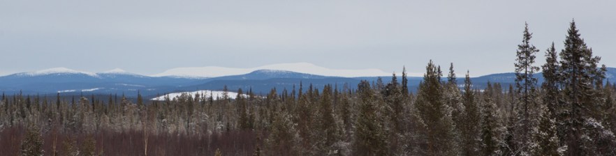 20170407_Olos-1010.jpg