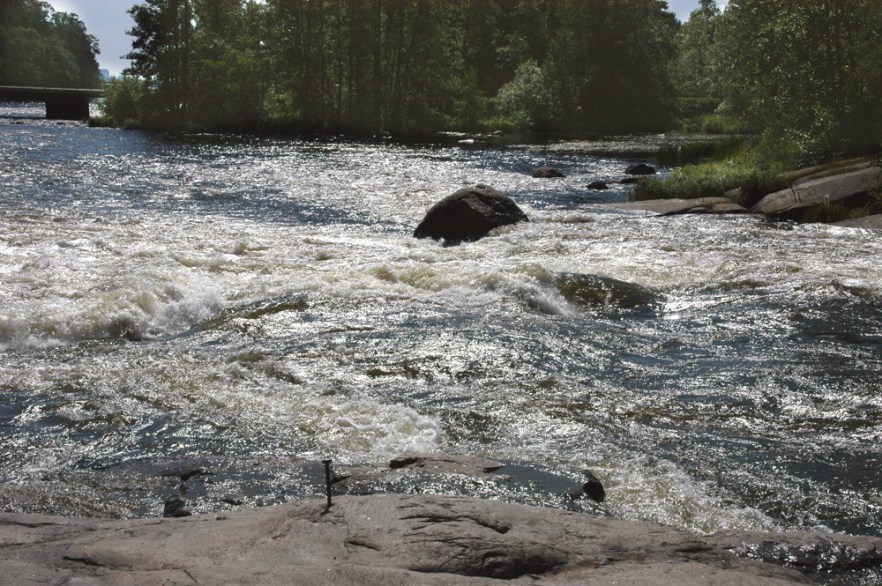 KOTKA_110807_ (1106).JPG