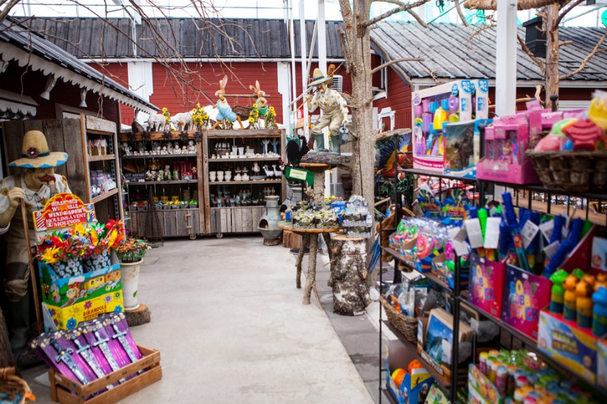 20190707_Zoolandia-1008